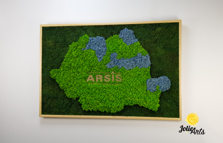 Logo Personalizat Arsis, Decorat cu Licheni si Muschi Plati, Naturali Stabilizati, Harta Romaniei [1]