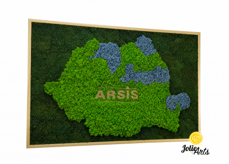 Logo-uri personalizate - Logo Personalizat Arsis, Decorat cu Licheni si Muschi Plati, Naturali Stabilizati, Harta Romaniei