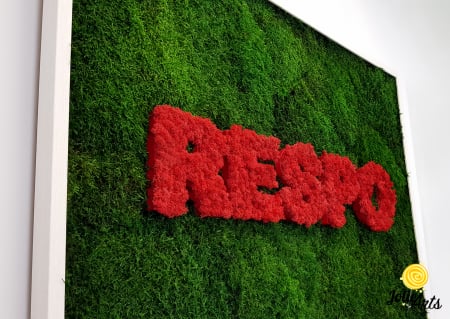 Logo Respo, muschi plati si licheni naturali stabilizati, Jolie Arts, www.tablouriculicheni.ro-4 [3]