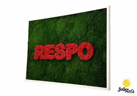 Logo-uri personalizate - Logo Respo, muschi plati si licheni naturali stabilizati, Jolie Arts, www.tablouriculicheni.ro-4
