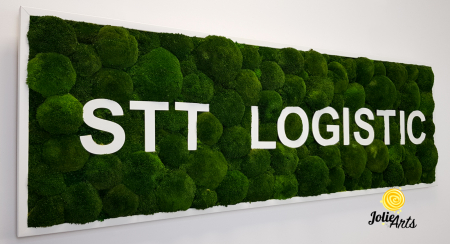 Logo STT LOGISTIC [4]
