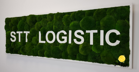 Logo STT LOGISTIC [5]