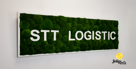 Logo STT LOGISTIC [3]