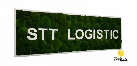 Logo STT LOGISTIC [0]