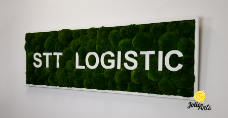 Logo STT LOGISTIC [1]