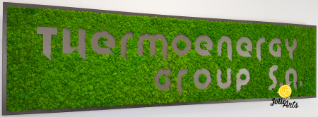 Logo Thermoenergy Group [4]