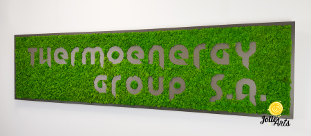 Logo Thermoenergy Group [1]