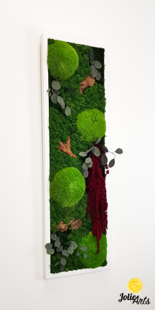 Tablou licheni, muschi si plante naturale stabilizate, Model Amaranthus 2, Jolie Arts, www.tablouriculicheni.ro-5 [3]