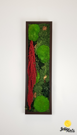 Tablou licheni, muschi si plante naturale stabilizate, Model Amaranthus 2, Jolie Arts, www.tablouriculicheni.ro-5 [2]