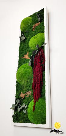 Tablou licheni, muschi si plante naturale stabilizate, Model Amaranthus 2, Jolie Arts, www.tablouriculicheni.ro-5 [4]