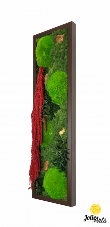 Tablouri - Tablou licheni, muschi si plante naturale stabilizate, Model Amaranthus 2, Jolie Arts, www.tablouriculicheni.ro-5