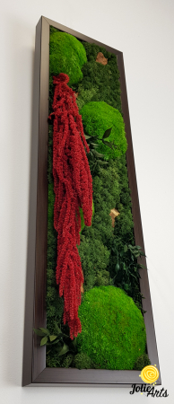 Tablou licheni, muschi si plante naturale stabilizate, Model Amaranthus 2, Jolie Arts, www.tablouriculicheni.ro-5 [3]