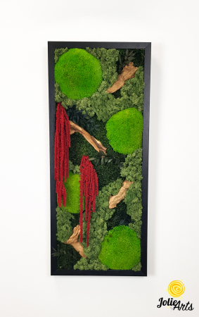 Tablou licheni, muschi si plante naturale stabilizate, Model Amaranthus 2, Jolie Arts, www.tablouriculicheni.ro-5 [2]