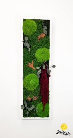 Tablou licheni, muschi si plante naturale stabilizate, Model Amaranthus 2, Jolie Arts, www.tablouriculicheni.ro-5 [2]