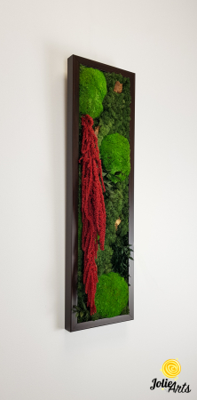 Tablou licheni, muschi si plante naturale stabilizate, Model Amaranthus 2, Jolie Arts, www.tablouriculicheni.ro-5 [1]