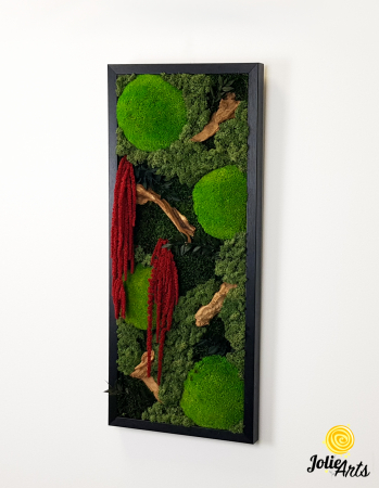 Tablou licheni, muschi si plante naturale stabilizate, Model Amaranthus 2, Jolie Arts, www.tablouriculicheni.ro-5 [3]