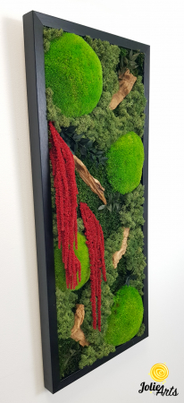 Tablou licheni, muschi si plante naturale stabilizate, Model Amaranthus 2, Jolie Arts, www.tablouriculicheni.ro-5 [4]