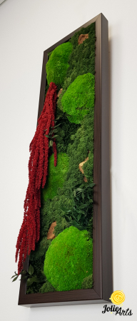 Tablou licheni, muschi si plante naturale stabilizate, Model Amaranthus 2, Jolie Arts, www.tablouriculicheni.ro-5 [4]