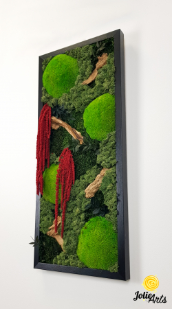 Tablou licheni, muschi si plante naturale stabilizate, Model Amaranthus 2, Jolie Arts, www.tablouriculicheni.ro-5 [5]