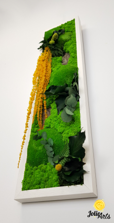 Tablou licheni, muschi si plante naturale stabilizate, Model Amaranthus galben, design vertical, 20 x 80 cm, rama neagra, Jolie Arts, www.tablouriculicheni.ro-3 [5]