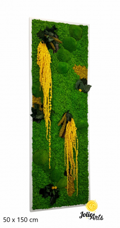 Tablou licheni, muschi si plante naturale stabilizate, Model Amaranthus galben, design vertical, 20 x 80 cm, rama neagra, Jolie Arts, www.tablouriculicheni.ro-3 [0]