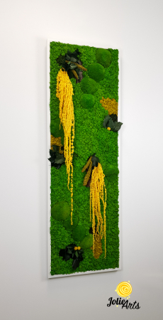 Tablou licheni, muschi si plante naturale stabilizate, Model Amaranthus galben, design vertical, 20 x 80 cm, rama neagra, Jolie Arts, www.tablouriculicheni.ro-3 [3]
