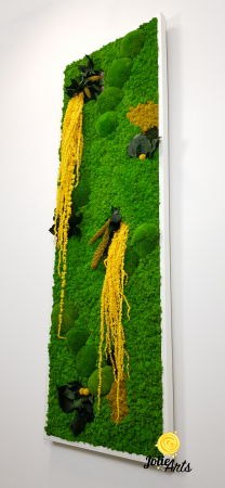 Tablou licheni, muschi si plante naturale stabilizate, Model Amaranthus galben, design vertical, 20 x 80 cm, rama neagra, Jolie Arts, www.tablouriculicheni.ro-3 [4]