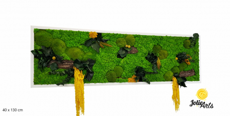 Tablou licheni, muschi si plante naturale stabilizate, Model Amaranthus galben, 40 x 100 cm, rama neagra, Jolie Arts, www.tablouriculicheni.ro-3 [1]