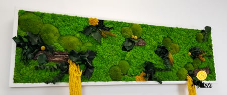 Tablou licheni, muschi si plante naturale stabilizate, Model Amaranthus galben, 40 x 100 cm, rama neagra, Jolie Arts, www.tablouriculicheni.ro-3 [6]