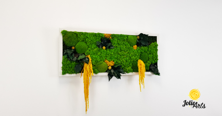 Tablou licheni, muschi si plante naturale stabilizate, Model Amaranthus galben, 40 x 100 cm, rama neagra, Jolie Arts, www.tablouriculicheni.ro-3 [3]