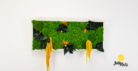 Tablou licheni, muschi si plante naturale stabilizate, Model Amaranthus galben, 40 x 100 cm, rama neagra, Jolie Arts, www.tablouriculicheni.ro-3 [2]