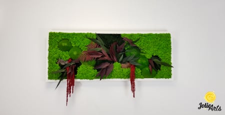 Tablou licheni, muschi si plante naturale stabilizate, Model Amaranthus Rosu, 30 x 70 cm, rama neagra, Jolie Arts, www.tablouriculicheni.ro-2 [2]