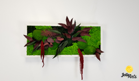 Tablou Amaranthus Roșu orizontal cu licheni și mușchi bombati [2]