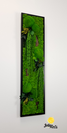 Model Amaranthus Verde, design vertical [3]