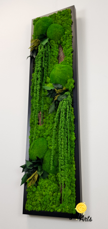 Model Amaranthus Verde, design vertical [4]