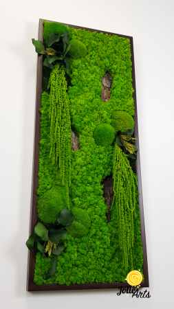 Model Amaranthus Verde – Design Vertical, Tablou Licheni Naturali [6]