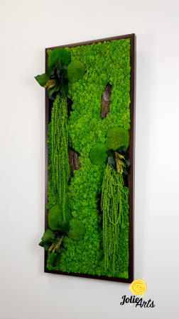 Model Amaranthus Verde – Design Vertical, Tablou Licheni Naturali [2]
