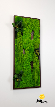 Model Amaranthus Verde – Design Vertical, Tablou Licheni Naturali [4]