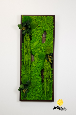 Model Amaranthus Verde – Design Vertical, Tablou Licheni Naturali [3]