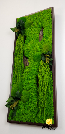 Model Amaranthus Verde – Design Vertical, Tablou Licheni Naturali [5]