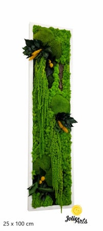 Tablouri - Model Amaranthus Verde – Design Vertical, Tablou Licheni Naturali