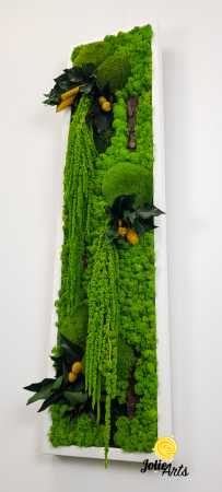 Model Amaranthus Verde – Design Vertical, Tablou Licheni Naturali [4]
