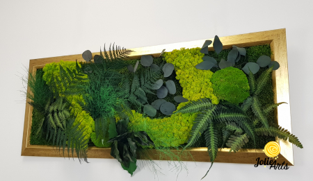 Model Amazon – Tablou Licheni, Mușchi și Plante Stabilizate – Ramă Patinată cu Inserții Aurii [5]
