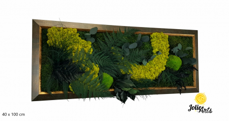 Model Amazon – Tablou Licheni, Mușchi și Plante Stabilizate – Ramă Patinată cu Inserții Aurii [1]