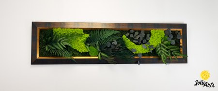 Model Amazon – Tablou Licheni, Mușchi și Plante Naturale – Ramă Patinată [3]