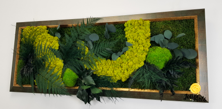 Model Amazon – Tablou Licheni, Mușchi și Plante Naturale – Ramă Patinată [6]