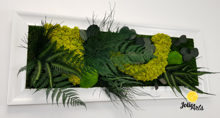 Tablou Model Amazon – Licheni, Mușchi, Plante Naturale – Ramă Alb Lucios – Jolie Arts [6]