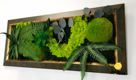 Model Amazon – Tablou Licheni, Mușchi și Plante Naturale – Ramă Patinată [5]