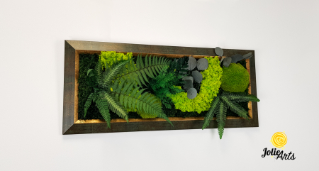 Model Amazon – Tablou Licheni, Mușchi și Plante Naturale – Ramă Patinată [4]