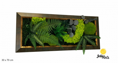 Toate Produsele - Model Amazon – Tablou Licheni, Mușchi și Plante Naturale – Ramă Patinată